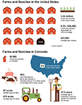 Agriculture Infographic Thumbnail Agriculture Infographic Thumbnail