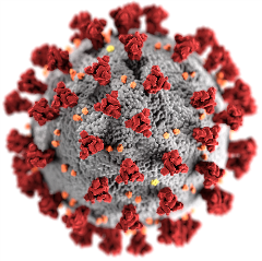 Coronavirus