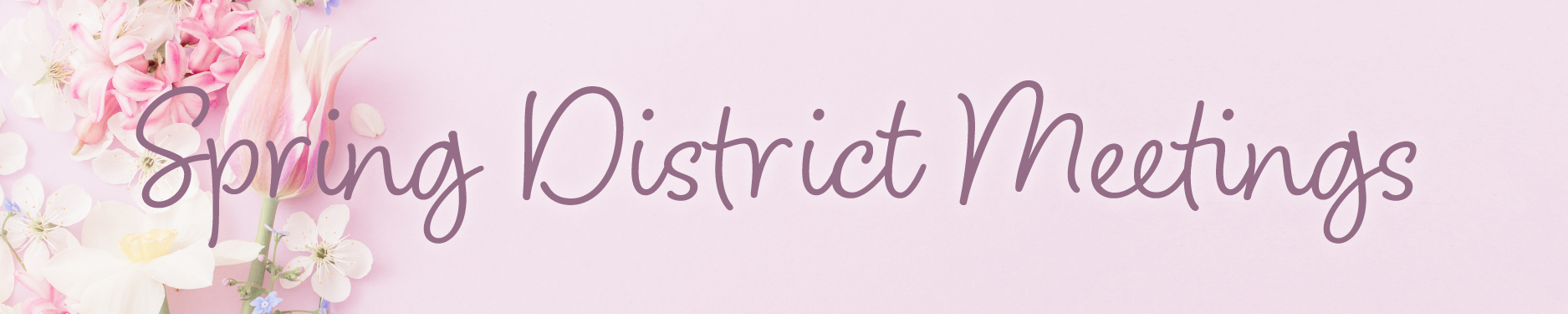 Fall District Meeting Web Banner-01