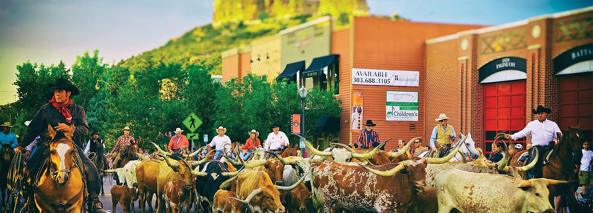 Castle-Rock-Steer-Drive Castle-Rock-Steer-Drive