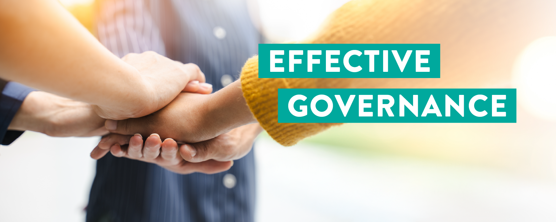Text reading Effective Governance