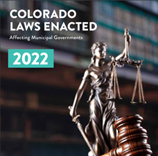 2022 Laws Enacted cover